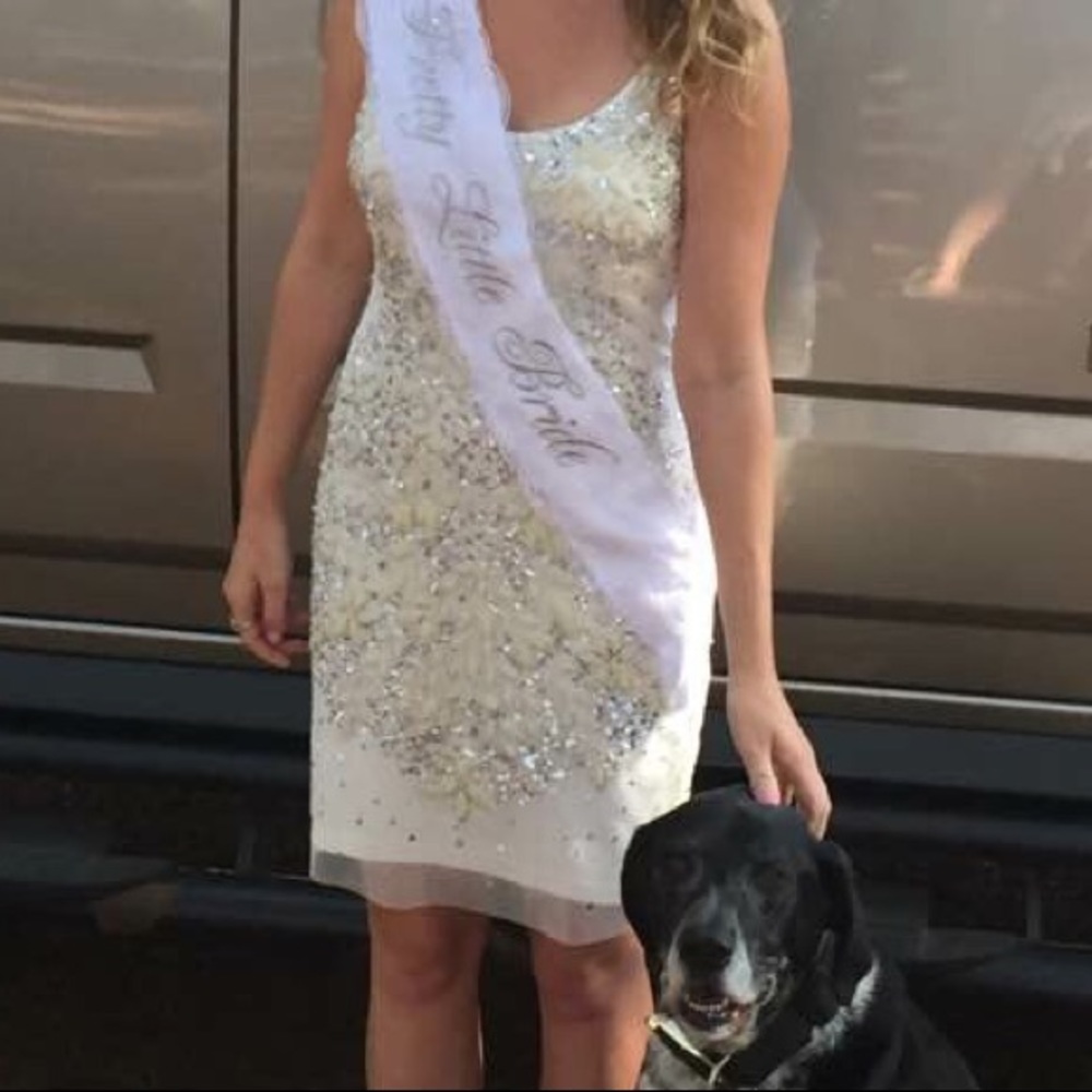 Adrianna Papell Sequin Dress